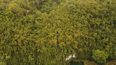 Atracción-tirolesa-en-la-selva-de-Bohol,-Filipinas