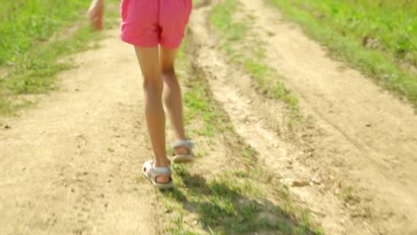 Little-girl-walking-along-a-rural-road