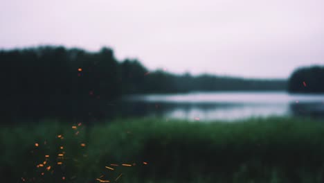 fire-sparks-from-campfire-on-the-shore-of-the-lake-in-the-evening