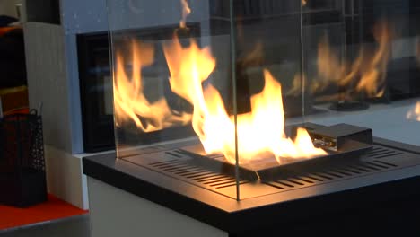 Modern-bio-fireplot-fireplace-on-ethanol-gas.-Smart-ecological