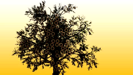 Mixed-media-of-two-3d-animation--from-tree--and-Technology-Interface-Computer-Data-Digital-Screen