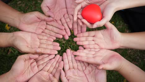 Mano-dar-un-corazón-rojo-a-muchas-manos-de-personas