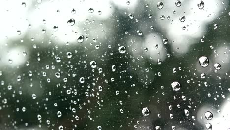 Imágenes-de-4K.-lluvia-corriendo-sobre-la-superficie-de-vidrio-de-ventana-transparente-con-árbol-verde-y-bokeh-luz-fuera-en-el-fondo.-gota-de-lluvia-en-día-de-lluvia