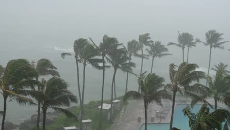 Hurricane-Wind-und-Regen-auf-Island-Resort