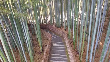 Gehweg-Bambus-Tunnel-benannt-Arashiyama-Bambuswald-in-Kyoto,-touristischen-Wahrzeichen-Japans