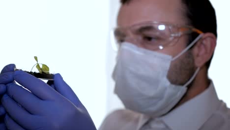 Biologist-examines-sample.-Science,-biology,-ecology.-Professional-scientist-wearing-protective-mask-working-with-herb-samples-in-his-laboratory.-Male-scientist-looking-at-plant-leaf-in-petri-dish.