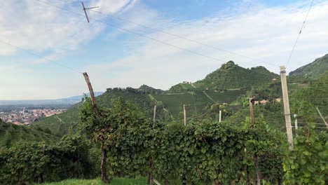 Weingut-Valdobbiadene-Dolly-4K