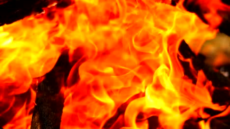 Close-up-Feuer-Flamme-als-Hintergrund