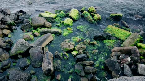 Las-olas-estrellan-en-las-rocas-cubiertas-de-musgo.-Cámara-lenta.