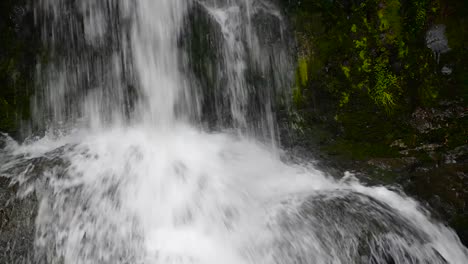 Waterfall-in-the-forest.-Waiau-Falls