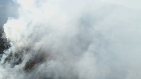 Imágenes-aéreas-de-humo-procedente-de-los-bosques