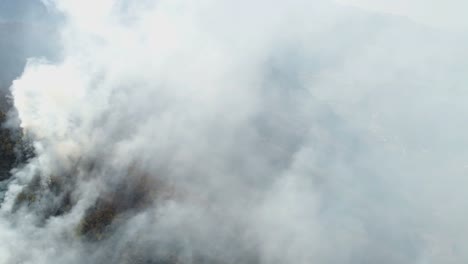 Aerial-footage-of-thick-smoke-coming-from-the-woods