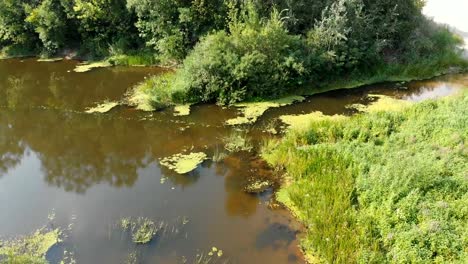 Flussbett---Draufsicht-von-Drohne