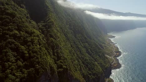 Rainforests-of-Madeira-by-the-Coast