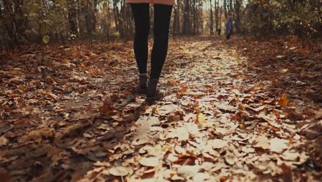 Mujer-Date-un-paseo-en-el-bosque-del-otoño.