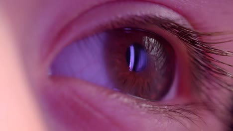 Close-up-shoot-of-l-eye-watching-rightwards-with-reflection-of-violet-lamp-in-it.
