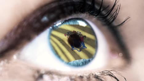 Woman-blue-eye-in-close-up-with-the-flag-of-New-Jersey-state-in-iris,-united-states-of-america-with-wind-motion.-video-concept