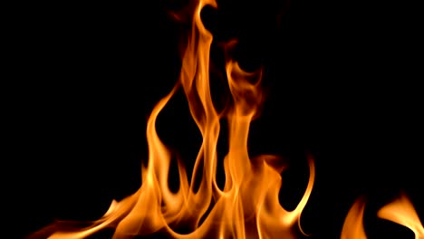 Slow-movement-of-clean-fire,-igniting-and-burning.-On-a-black-background,-a-line-of-real-flames-is-lit.-Real-shots.