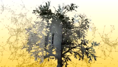 Mixed-media-of-two-3d-animation--from-tree-and-geometric-polygonal-structure