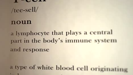 T-Cell-Definition