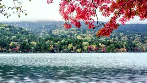 Lago-Onneto,-el-Parque-Nacional-Akan,-Hokkaido,-Japón.