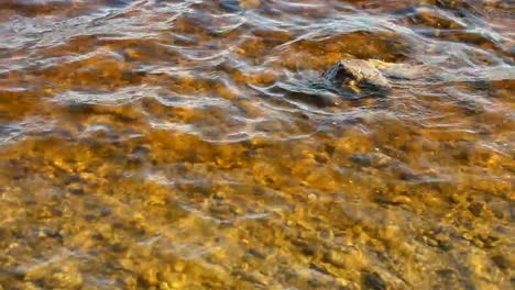 La-superficie-del-lago-con-agua-limpia,-Suecia