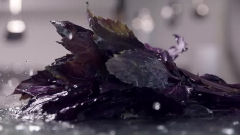 Falling-of-basil-into-the-wet-table.-Slow-motion-480-fps