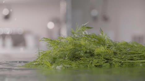 Falling-of-dill-into-the-wet-table.-Slow-motion-240-fps