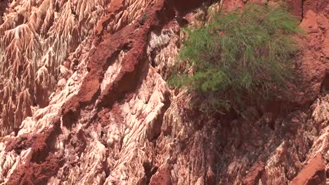 Madagascar.-Rojo-tsingy.