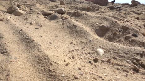 starker-Wind-Wehen-der-goldene-Sand-über-die-Sanddüne-in-Zeitlupe