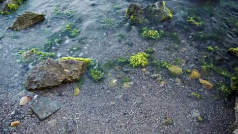 Waves-crash-into-moss-covered-rocks.-Slow-Motion.