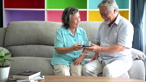 Senior-couple-sitting-and-talking-with-red-wine-glass-on-table-in-living-room.