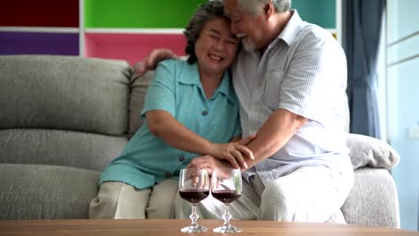 Senior-couple-sitting-and-talking-with-red-wine-glass-on-table-in-living-room.