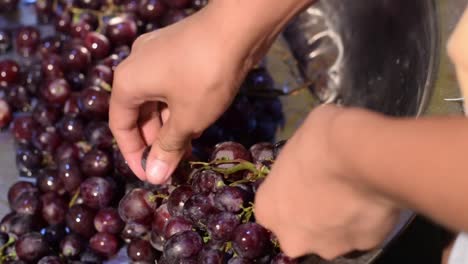 Trauben-Früchte-zu-Hause-Wein-Verarbeitung-gründlich-Zerkleinern-von-Obst-mit-bloßen-Händen