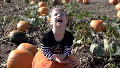 Kleinkind-Mädchen-in-süße-Halloween-Kleid-auf-der-Suche-nach-perfekter-Kürbis-auf-dem-Kürbisfeld.