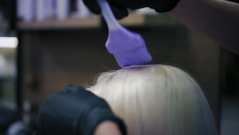 Hairdresser-in-professional-gloves-applies-purple-hair-dye-on-long-blond-woman's-hair-with-brush.-Closeup