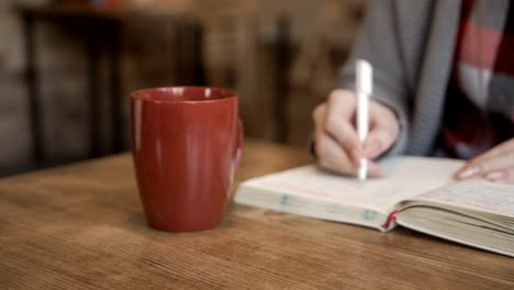 Mujer-escribe-en-el-cuaderno