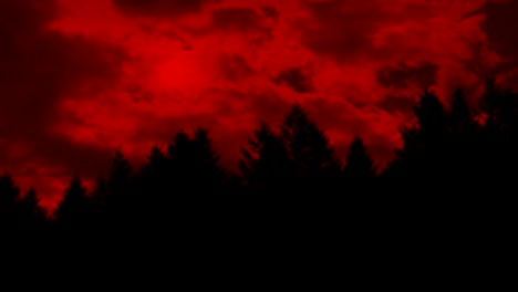 Red-Sun-Glows-Through-Clouds-Above-The-Forest