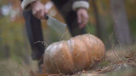 Halloween.-Man-hackt-einen-Kürbis-mit-einem-Fleischermesser.