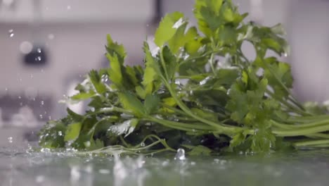 Falling-of-parsley-into-the-wet-table.-Slow-motion-480-fps