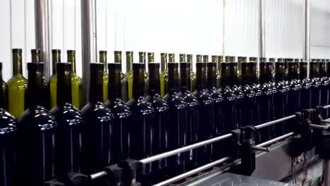 Bottling-and-sealing-conveyor-line-at-winery-factory