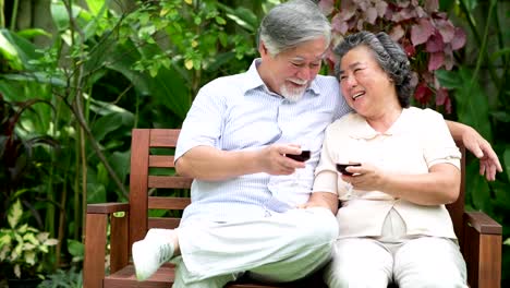 Senior-couple-sitting-and-drinking-red-wine-together-in-home-garden.