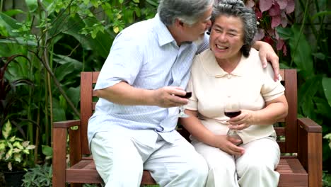 Senior-couple-sitting-and-drinking-red-wine-together-in-home-garden.