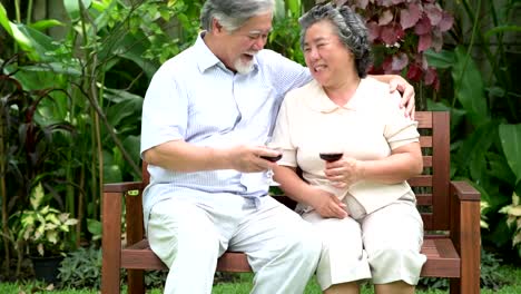 Älteres-paar-sitzen-und-trinken-Rotwein-zusammen-im-heimischen-Garten.