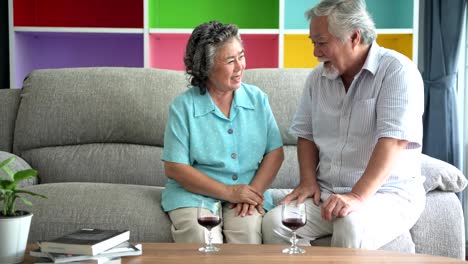 Senior-couple-sitting-and-talking-with-red-wine-glass-on-table-in-living-room.