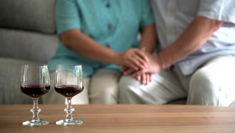 Senior-couple-sitting-and-talking-with-red-wine-glass-on-table-in-living-room.