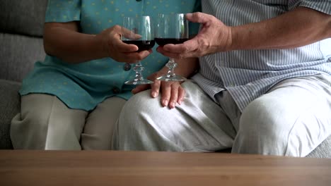 Senior-couple-sitting-and-talking-with-red-wine-glass-on-table-in-living-room.