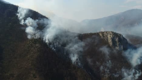 A-moving-aerial-footage-of-thick-smoke-in-the-woods-covering-the-whole-area