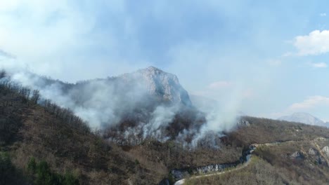 Imágenes-aéreas-de-un-bosque-quemado-para-arriba...