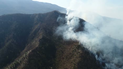 Aerial-footage-of-a-forest-covered-in-thick-smoke